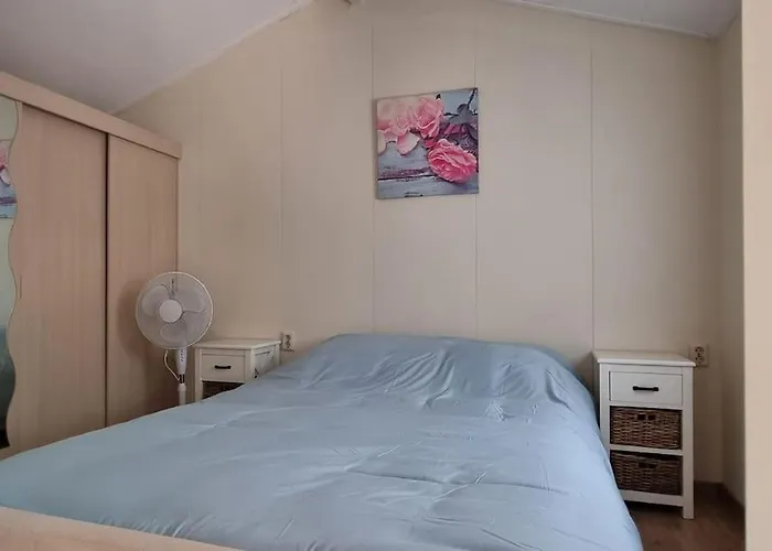 Vakantiehuis Fijn Chalet Met Grote Tuin Op De Veluwe Epe